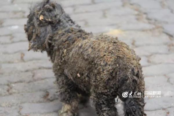 突發(fā)！青島一居民樓發(fā)生爆燃！已造1人死亡，7人受傷！3公里外有震感…