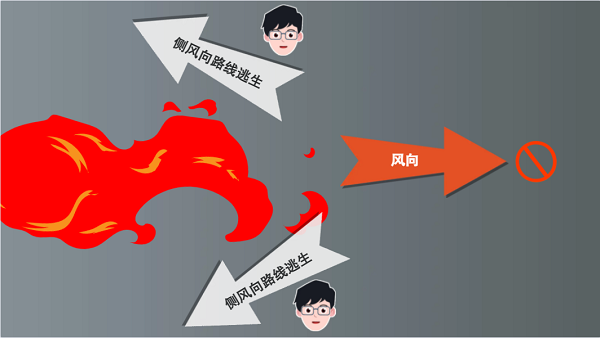 【動畫】森林草原防火“十不準(zhǔn)”“五不燒”！這些安全知識要牢記
